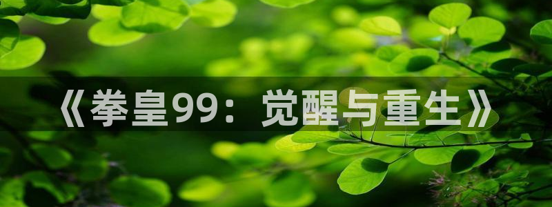 羞羞漫画4：《拳皇99：觉醒与重生》