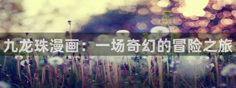 羞羞动漫专注于动：九龙珠漫画：